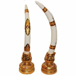 Elephant Tusk